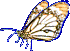 a butterfly image