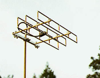 Close Up of Quatro hentenna