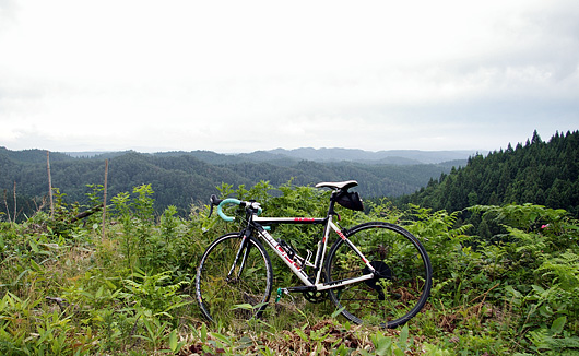 常盤林道A 標高253m