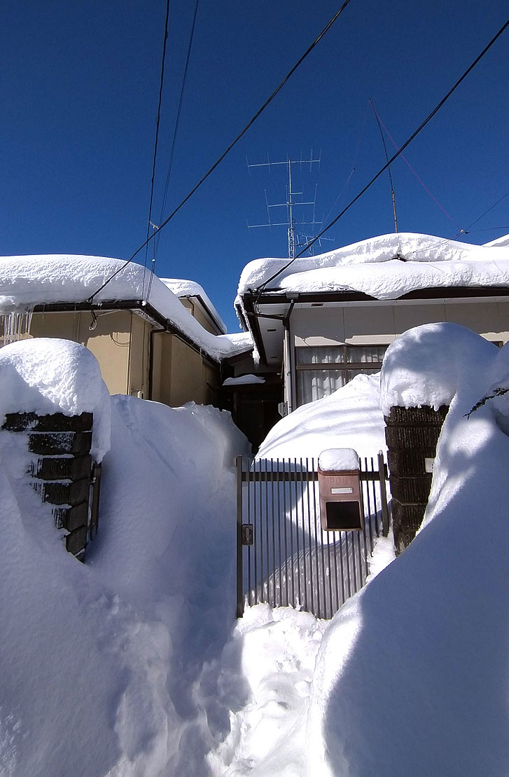 家の前の歩道から見た玄関側 2022/1/21 朝10時。Twitterで 122いいね。ヨーロッパからも いいね が来た。