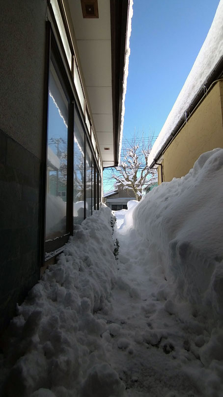 玄関から見た市道側 2022/1/21 朝10時