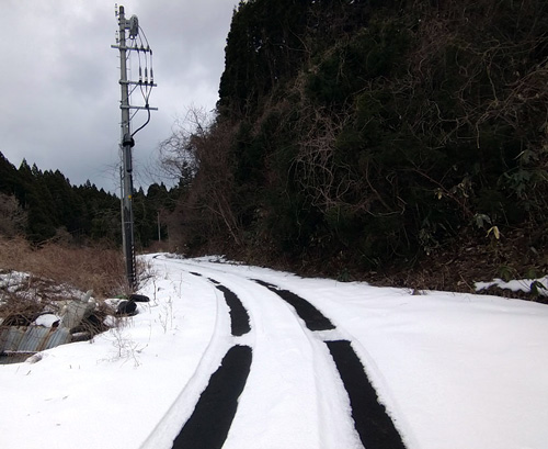 3月10日 幟山林道入口