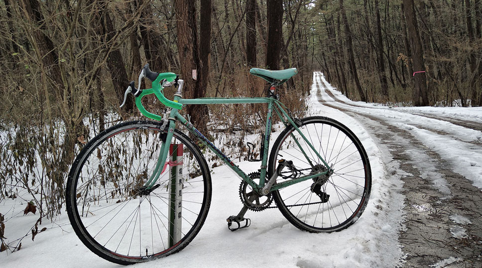 33年乗ってる 街乗り用のBianchi