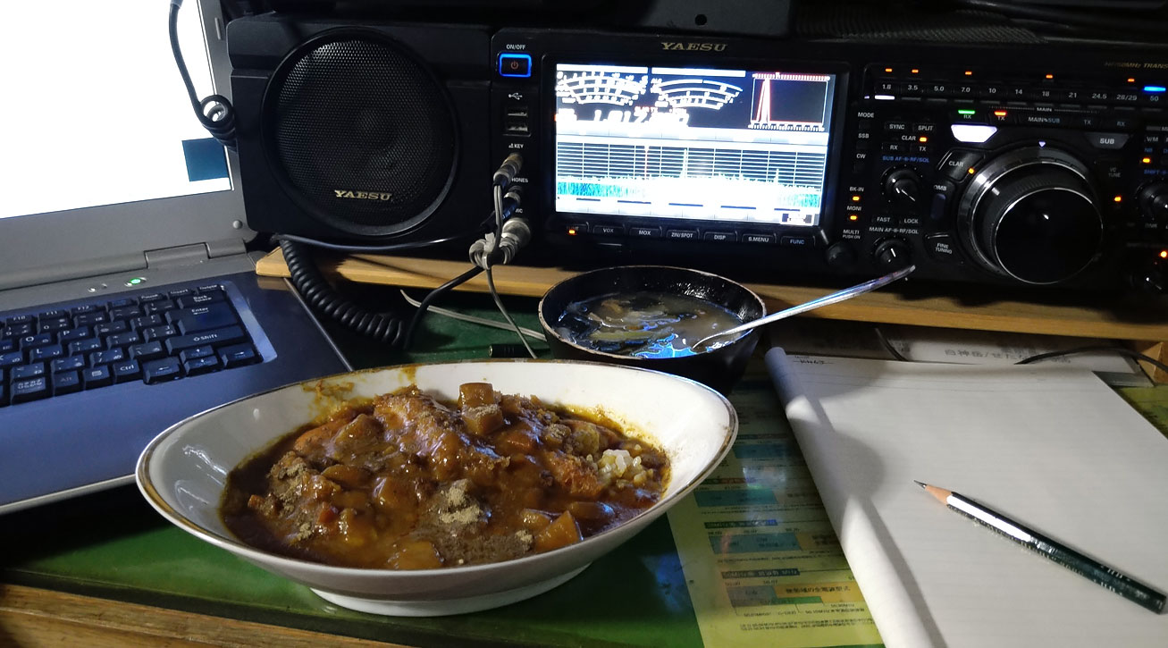 初日の夕餉。この前に 大盛り生野菜も摂取。二日目もカレーだったかどうかは秘匿案件。